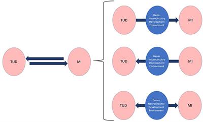 Tobacco use disorder in patients with other mental disorders: a dual disorder perspective from clinical neuroscience